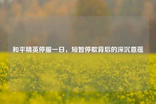 和平精英停服一日,短暂停歇背后的深沉意蕴