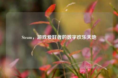 Steam,游戏爱好者的数字欢乐天地