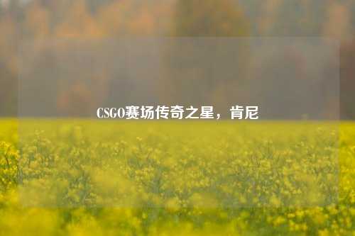 CSGO赛场传奇之星,肯尼