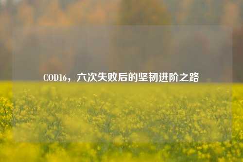 COD16,六次失败后的坚韧进阶之路