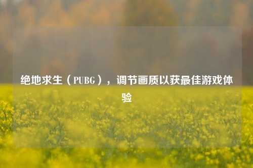 绝地求生(PUBG),调节画质以获更佳游戏体验