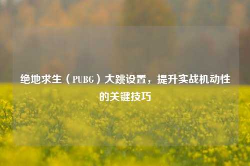 绝地求生(PUBG)大跳设置,提升实战机动性的关键技巧