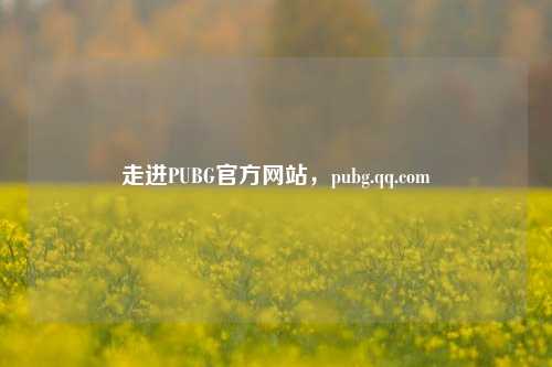 走进PUBG官方网站,pubg.qq.com