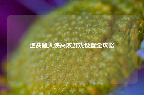 逆战鼠大侠高效游戏设置全攻略