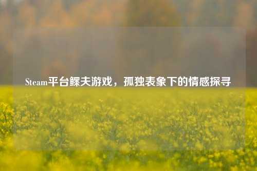Steam平台鳏夫游戏,孤独表象下的情感探寻