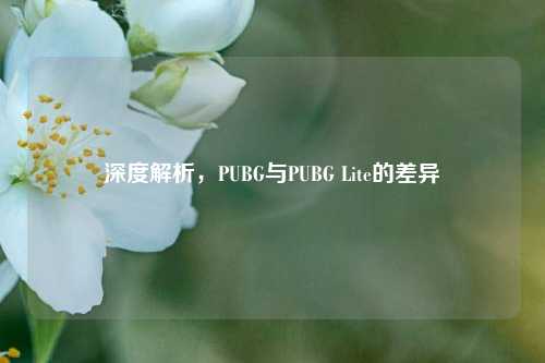 深度解析,PUBG与PUBG Lite的差异