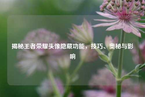 揭秘王者荣耀头像隐藏功能,技巧、奥秘与影响