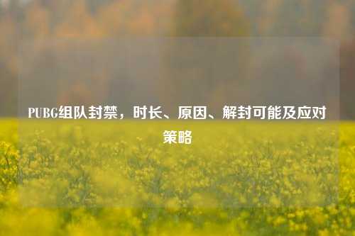 PUBG组队封禁,时长、原因、解封可能及应对策略