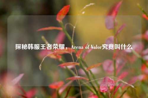 探秘韩服王者荣耀,Arena of Valor究竟叫什么