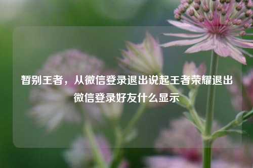 暂别王者，从微信登录退出说起王者荣耀退出微信登录好友什么显示