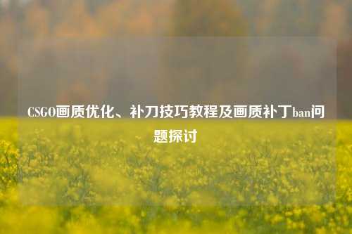 CSGO画质优化、补刀技巧教程及画质补丁ban问题探讨