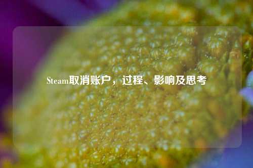 Steam取消账户,过程、影响及思考
