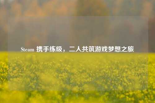 Steam 携手练级,二人共筑游戏梦想之旅