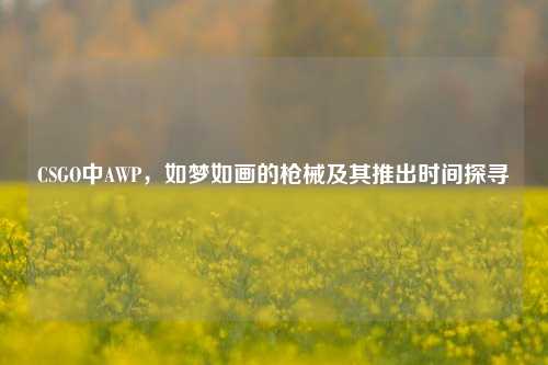 CSGO中AWP,如梦如画的枪械及其推出时间探寻