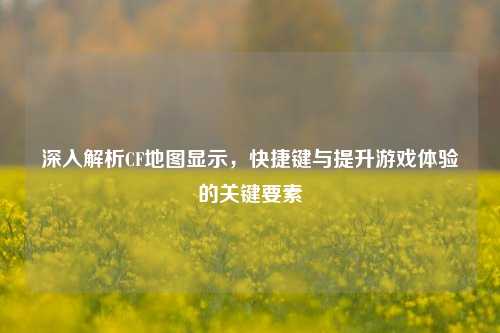 深入解析CF地图显示,快捷键与提升游戏体验的关键要素