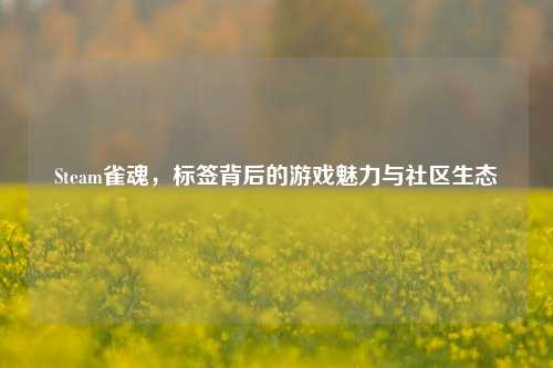 Steam雀魂，标签背后的游戏魅力与社区生态