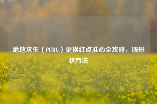 绝地求生(PUBG)更换红点准心全攻略,调形状 ***