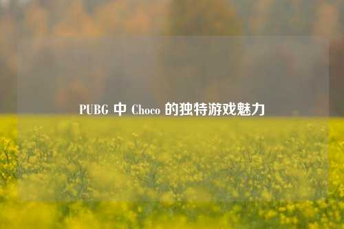 PUBG 中 Choco 的独特游戏魅力