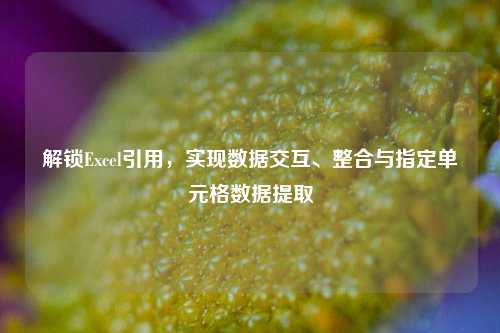 解锁Excel引用,实现数据交互、整合与指定单元格数据提取