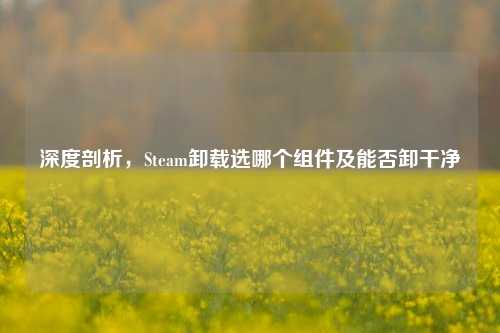 深度剖析,Steam卸载选哪个组件及能否卸干净