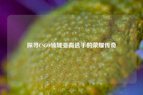 探寻CSGO领域亚裔选手的荣耀传奇