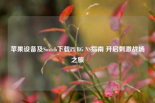 苹果设备及Switch下载PUBG NS指南 开启***战场之旅