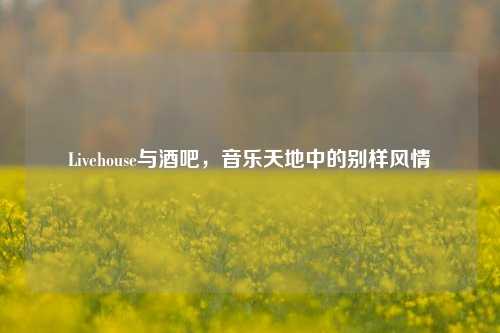 Livehouse与酒吧,音乐天地中的别样风情