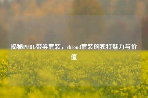 揭秘PUBG带券套装,shroud套装的独特魅力与价值