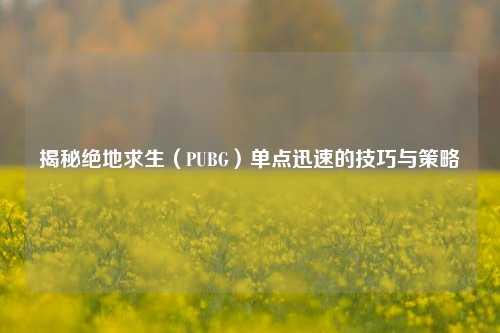 揭秘绝地求生(PUBG)单点迅速的技巧与策略