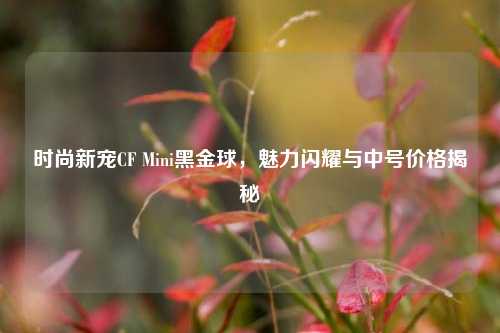 时尚新宠CF Mini黑金球,魅力闪耀与中号价格揭秘