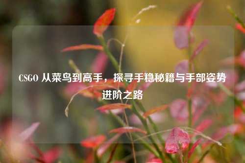 CSGO 从菜鸟到高手,探寻手稳秘籍与手部姿势进阶之路