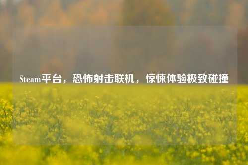 Steam平台,恐怖射击联机,惊悚体验极致碰撞