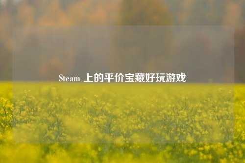 Steam 上的平价宝藏好玩游戏