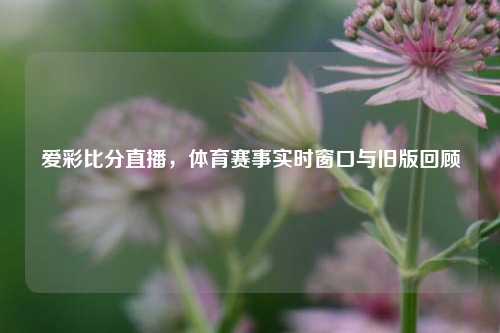 爱彩比分直播，体育赛事实时窗口与旧版回顾