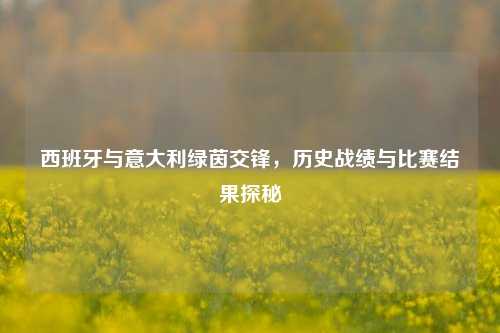 西班牙与意大利绿茵交锋,历史战绩与比赛结果探秘